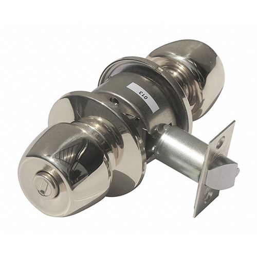 [PHI-MX81705] PERILLA CILINDRICA BRAND Y WIN