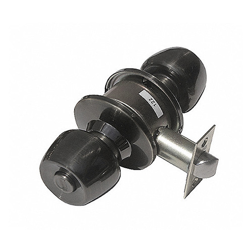 [YAL-MX81709] PERILLA CILINDRICA BRAND Y WIN